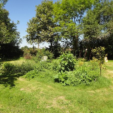 Tranquille Vienne Gites A Chirac Dept Charente Екстериор снимка