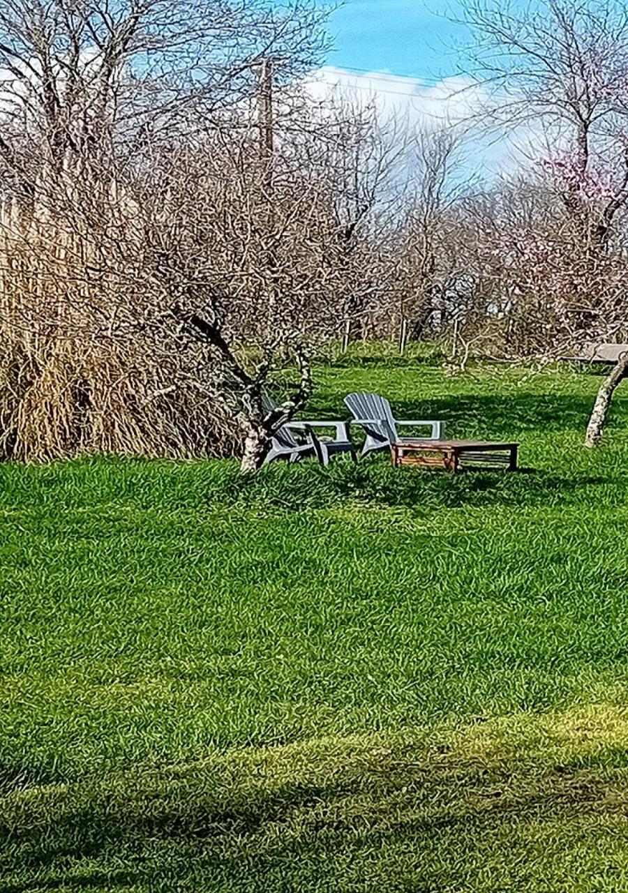Tranquille Vienne Gites A Chirac Dept Charente Екстериор снимка