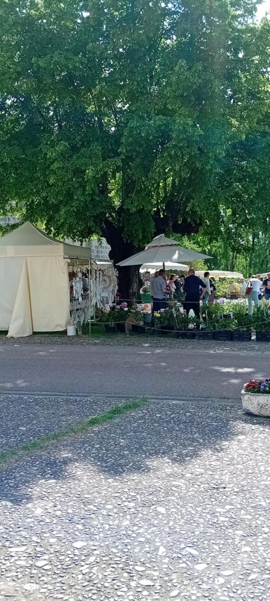 Tranquille Vienne Gites A Chirac Dept Charente Екстериор снимка